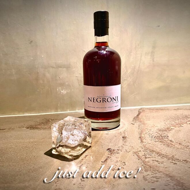 pHenomenal NEGRONI <br>our style - 500ml - Image 3
